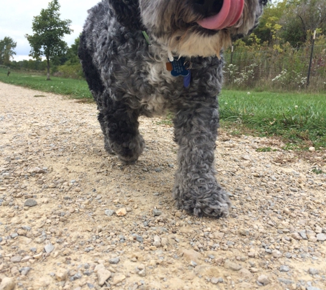 Badger Prairie Park - Verona, WI