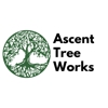 Ascent Tree Works gallery
