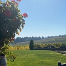 Methven Family Vineyards - Tourist Information & Attractions