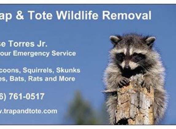 Trap and Tote Wildlife Removal