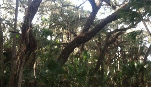 Hontoon Island State Park - Deland, FL