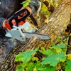 D&D Tree Service. gallery