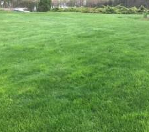 Green Carpet Lawn Care LLC - Somers, CT