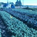 Jubilee Produce - Farms