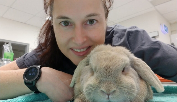 Central Veterinary Clinic & Hospital - Tarneit, VIC