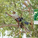 Brooksby Tree Care LLC - Arborists