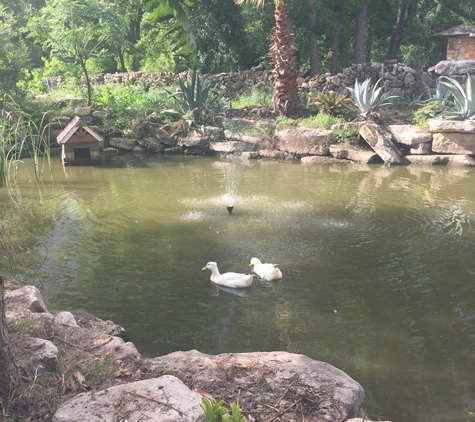 Austin Landscape & Trees - Austin, TX