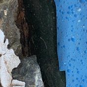 Gallery Image Number 6