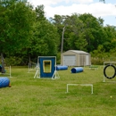 Bass Pet Resort & Spa - Pet Services