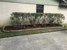 Marvin Arias Lawn Service - Landscaping & Lawn Services