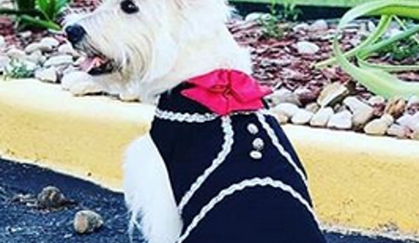 PAWsitively Sweet Bakery - San Antonio, TX. Handmade Mariachi Fiesta dog outfit.