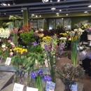 Field of Flowers - Boca Raton Flower Market - Florists