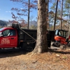 Nathan’s Tree Service and Excavating gallery
