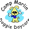 Camp Marlin Doggie Daycare gallery