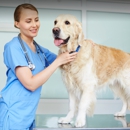 4 Paws Veterinary Hospital - Veterinary Clinics & Hospitals