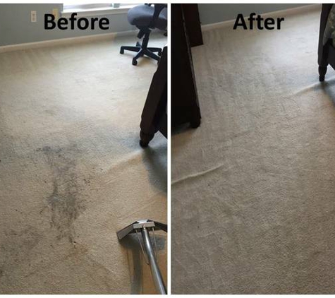 Sereen Celan Carpet Cleaning, LLC - Charlotte, NC