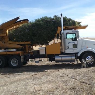 Bowman Tree Moving, Inc.