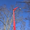 Sidonian Tree Service gallery