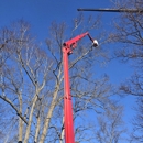 Sidonian Tree Service - Firewood