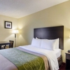 Comfort Inn West gallery