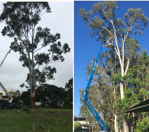 Active Tree Fellas - River Heads, QLD