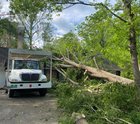 Crissman Tree Service - Boonville, NC