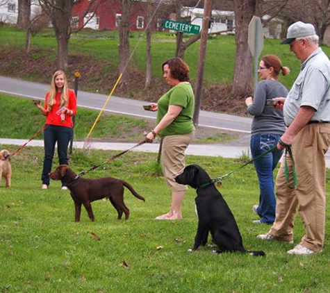 Paws Please Dog Training - West Eaton, NY