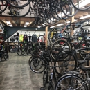 Around the Cycle - Bicycle Shops
