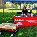 Candice Dahline - State Farm Insurance Agent - Homeowners Insurance