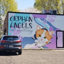 Orphan Angels Cat Sanctuary & Adoption Center - Animal Shelters