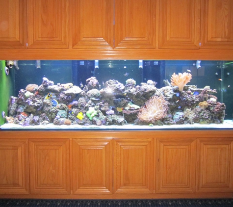 So Cal Aquatic Life Service Inc. - Anaheim, CA