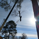 Atkins Tree Service - Arborists