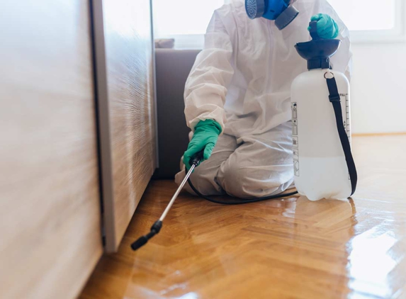 Affordable Pest Control - Nowra, NSW