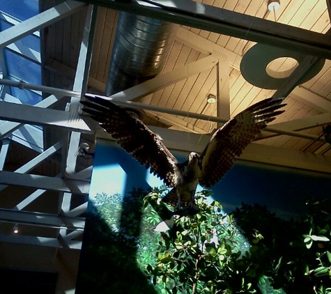 Marine Science Center - Ponce Inlet, FL