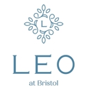 LEO at Bristol