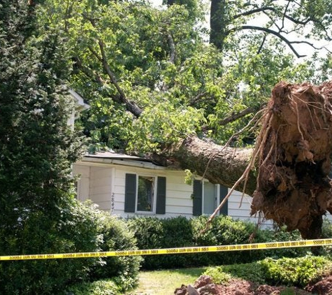 Singletary Tree Service