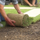 Sod & Sodding Service - Sod & Sodding Service