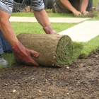 Sod & Sodding Service