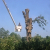 Rowland Tree Service gallery