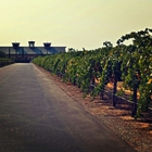 Berghold Vineyards & Winery