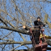 K&J Tree Service gallery