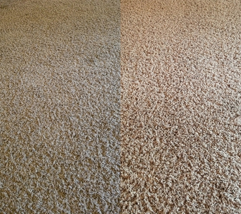 The King Of Clean - Enumclaw, WA. I can't believe the difference in our carpet! Wow!!!