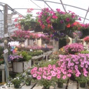 Smith Mountain Plants, Flowers, Produce - Florists