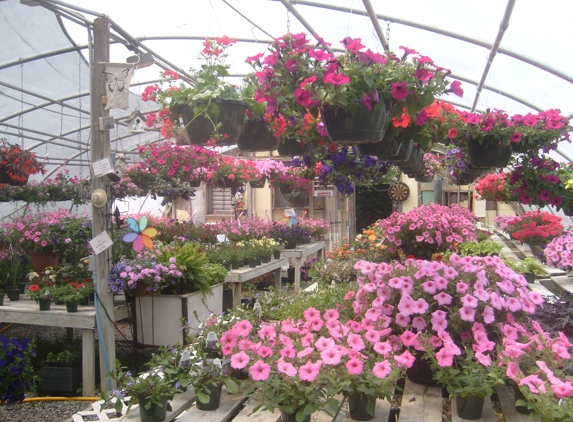 Smith Mountain Plants, Flowers, Produce - Moneta, VA