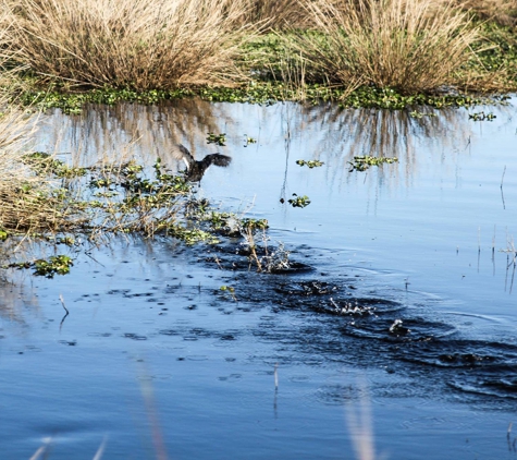 Ray's Airboat Rides - Christmas, FL