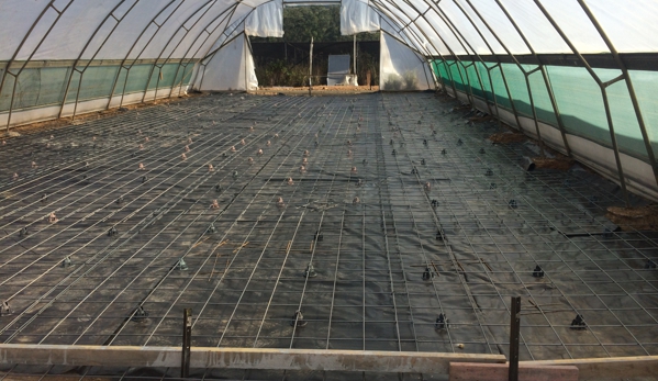 Bligh Park Concreting