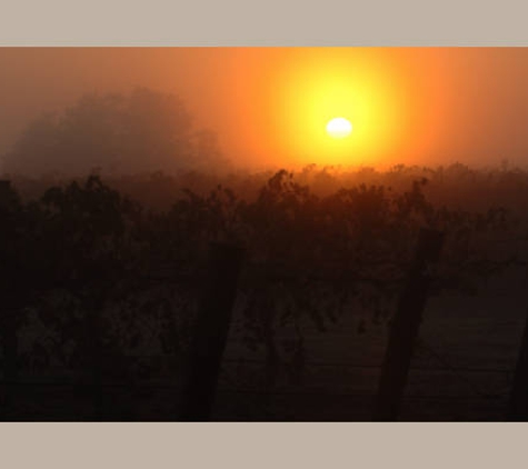 Brands Laira Coonawarra - Coonawarra, SA