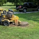 Huggins Stump Removal