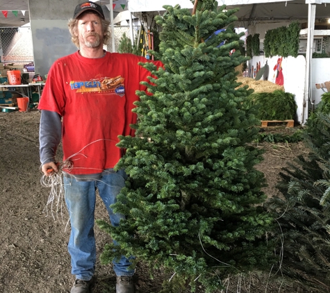 Brent's Christmas Trees - Oakland, CA. Nice Noble Fir