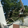 Kirby's Tree Care LLC gallery